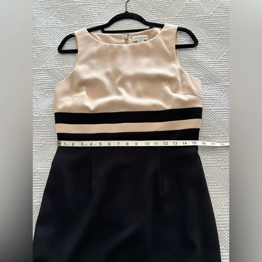 Ann Taylor Tan and Black Triacetate Sheath Dress - Picture 5 of 7